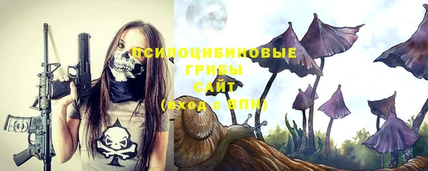 молекула духа Абинск